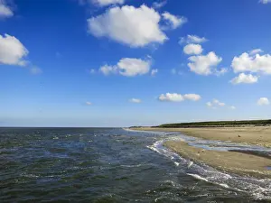Late Summer Europe Drucke: Landscape at Texel