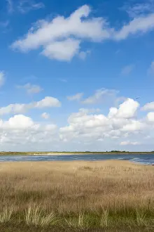 Landschaft auf Texel
