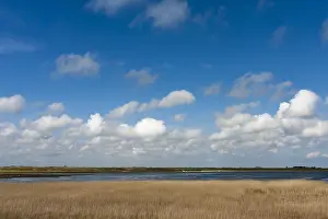 Landschaft auf Texel.