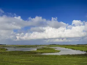 Late Summer Europe Drucke: Landscape at Texel