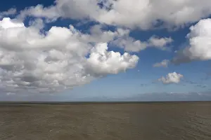 Landschaft auf Texel