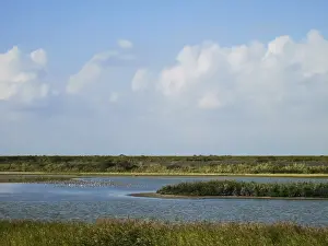 Bilder Datiert 11. September 2014: Landschaft auf Texel