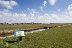 Landschaft am Westerlanderkoog
