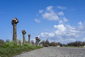Landschaft am Westerlanderkoog