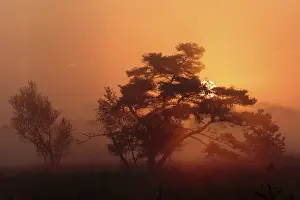 Netherlands Landscape Photography Drucke: landschap; landscape