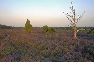 Beautiful European Landscapes Drucke: Lemelerberg