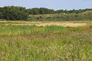 Bilder Datiert 16. Juli 2005: Lentevreugd