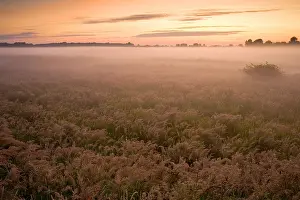 Juli Drucke: Lentevreugd