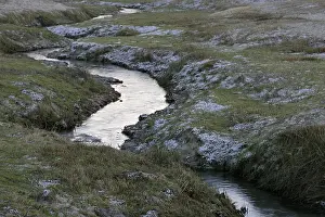 Lentevreugd