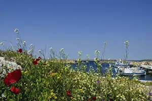 Bilder vom 29. April 2007: Lesbos