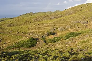Europe Landscapes Drucke: Lesbos, Lesvos