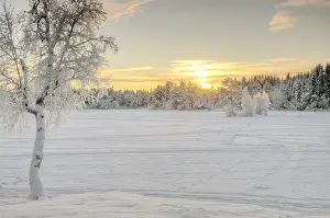 Europe Winter Landscape Drucke: Liavatnet