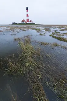 Wadden Sea Landscape Drucke: Lighthouse Westerhever, Germany