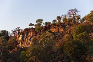 Low Angle Landscape Photography Drucke: Low angle view of cliffs, lined with trees including baobabs