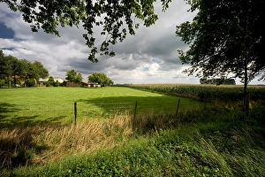 Bilder vom 25. August 2008: Maisfeld, Kornfeld
