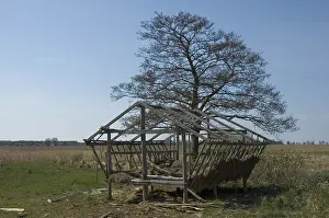 Landscape Photography Netherlands Drucke: manual updated