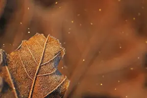 Winter Landscape Photography Tips Drucke: manual updated