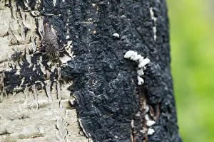 Bilder Datiert 15. Juni 2019: Marco ist ein Insektenbild.