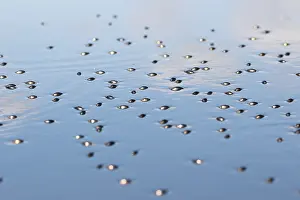 Bilder Datiert 29. Mai 2016: Marco ist ein Insekt.