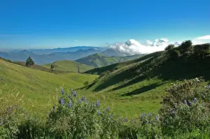 Mindo Ecuador