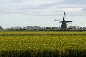 Windmill Netherlands Drucke: Molen, Mill