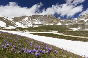 European Mountain Views Drucke: Mountain Landscape