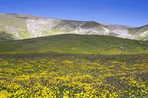 Italian Mountain Landscape Drucke: Mountain Landscape
