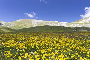 Gerahmter Druck : Berglandschaft Gerahmter Druck : Berglandschaft