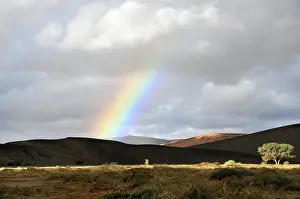 African Grassland Scenery Drucke: Namibie, Namibia