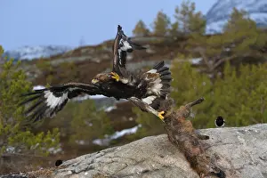 Noorwegen