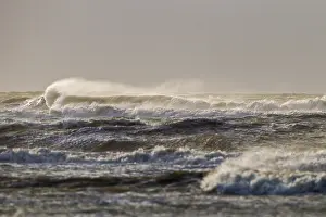 Seaside Landscape Photography Drucke: North Sea waves