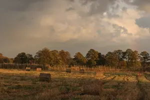 Oderdelta, Oderdelta