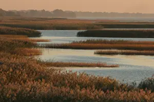Oderdelta, Oderdelta