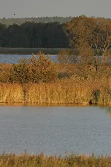 Oderdelta, Oderdelta