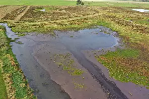 Wetland Photography Drucke: Onnerpolder