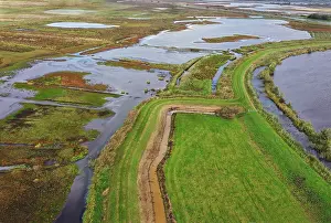 Wetland Photography Drucke: Onnerpolder