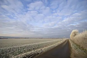 Dutch Farmland Photography Drucke: Ooijpolder