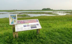 Dutch Nature Reserve Drucke: Ottersaat