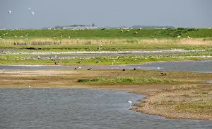 Bilder Datiert 12. Mai 2018: Ottersaat