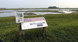 European Otter Habitat Drucke: Ottersaat