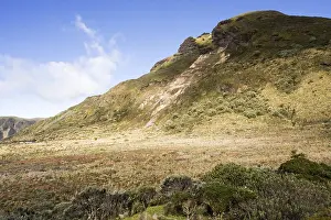 Ecuador Landscape Photography Drucke: Papallacta Pass Ecuador
