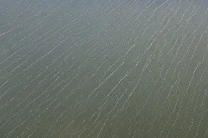 Netherlands Aerial Photography Drucke: Patroon in water, Pattern in water