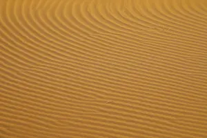 African Nature Scenes Drucke: Patterns in desert sand