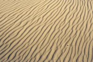 September Drucke: Muster im Sand.