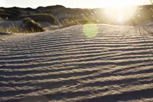 September Drucke: Muster im Sand.
