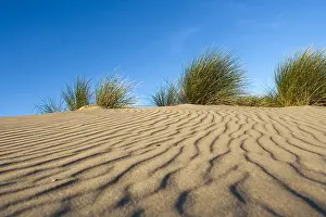 September Drucke: Muster im Sand.