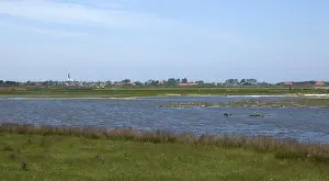 Gerahmter Druck : De Pette van Texel Gerahmter Druck : De Pette van Texel