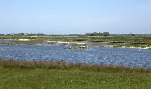 Gerahmter Druck : De Pette van Texel Gerahmter Druck : De Pette van Texel