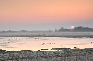 Holland Landscape Photography Drucke: De Petten Texel