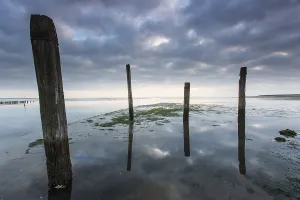 Wadden Sea Coastline Drucke: Port de Cocksdorp